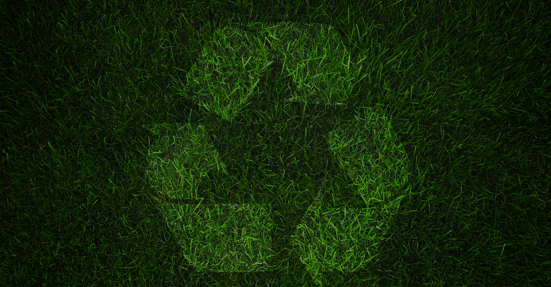 C&D debris removal and green recycling